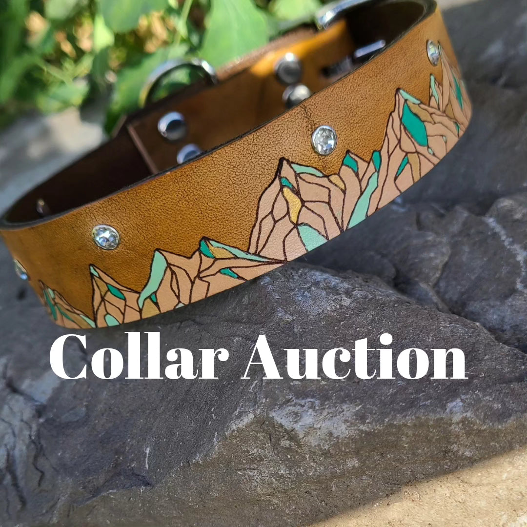 Rhinestone mountain collar auction