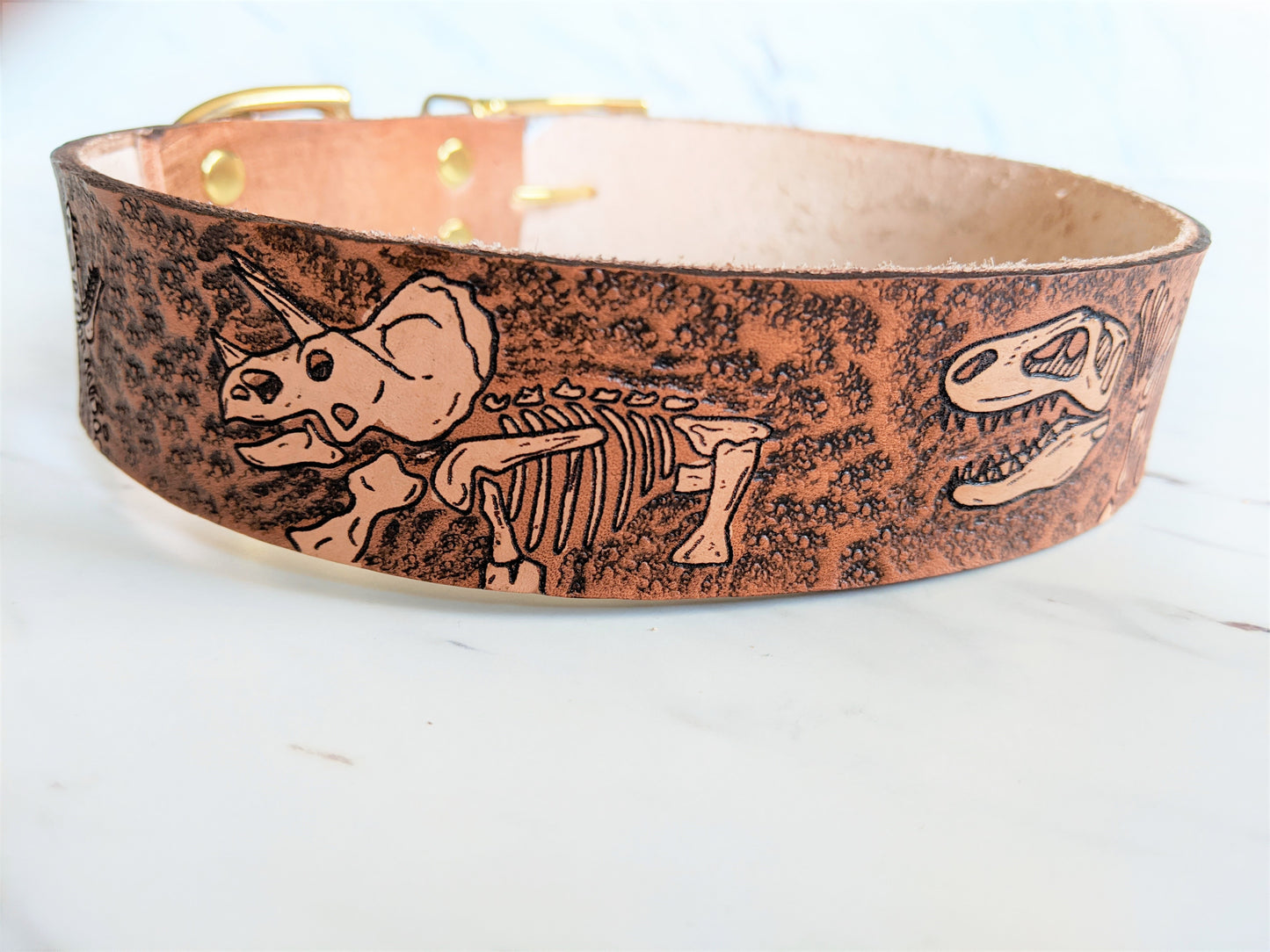 Jurassic Boneyard - Leather Dog Collar