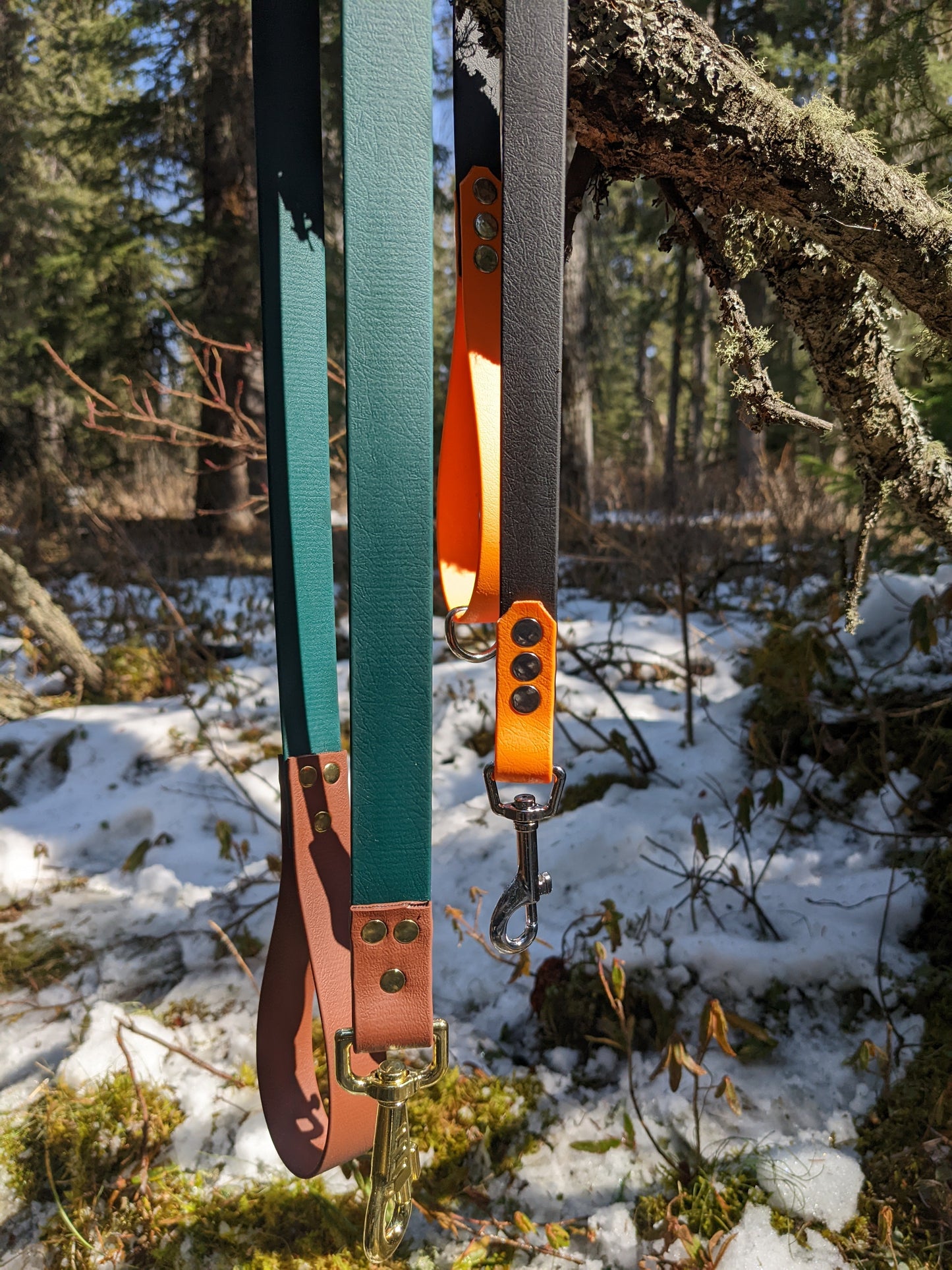 Biothane Leash - Two tone - Waterproof - 1 inch