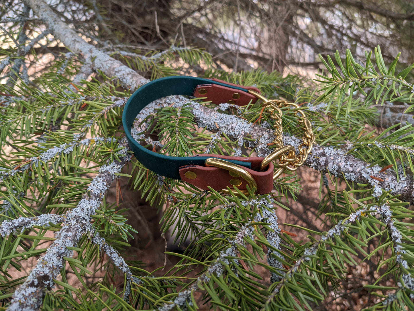 Biothane Martingale Dog Collar - Two Tone - Waterproof - 3/4 inch