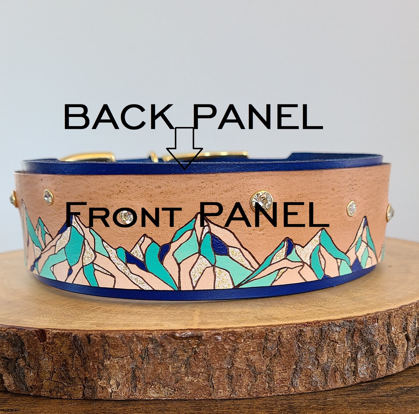 Mountain Sparkle Leather Panel Collar