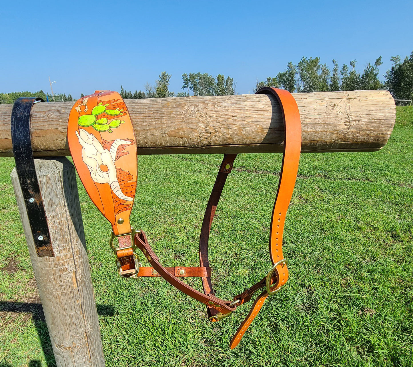 Western Cactus  Leather Horse Halter- Custom Halter - Handmade Bronc Halter