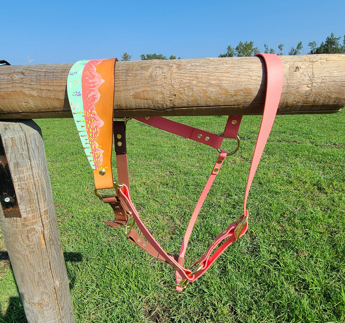 Floral Mountain Biothane Horse Halter with Leather Nose band - Custom Halter - Handmade Bronc Halter