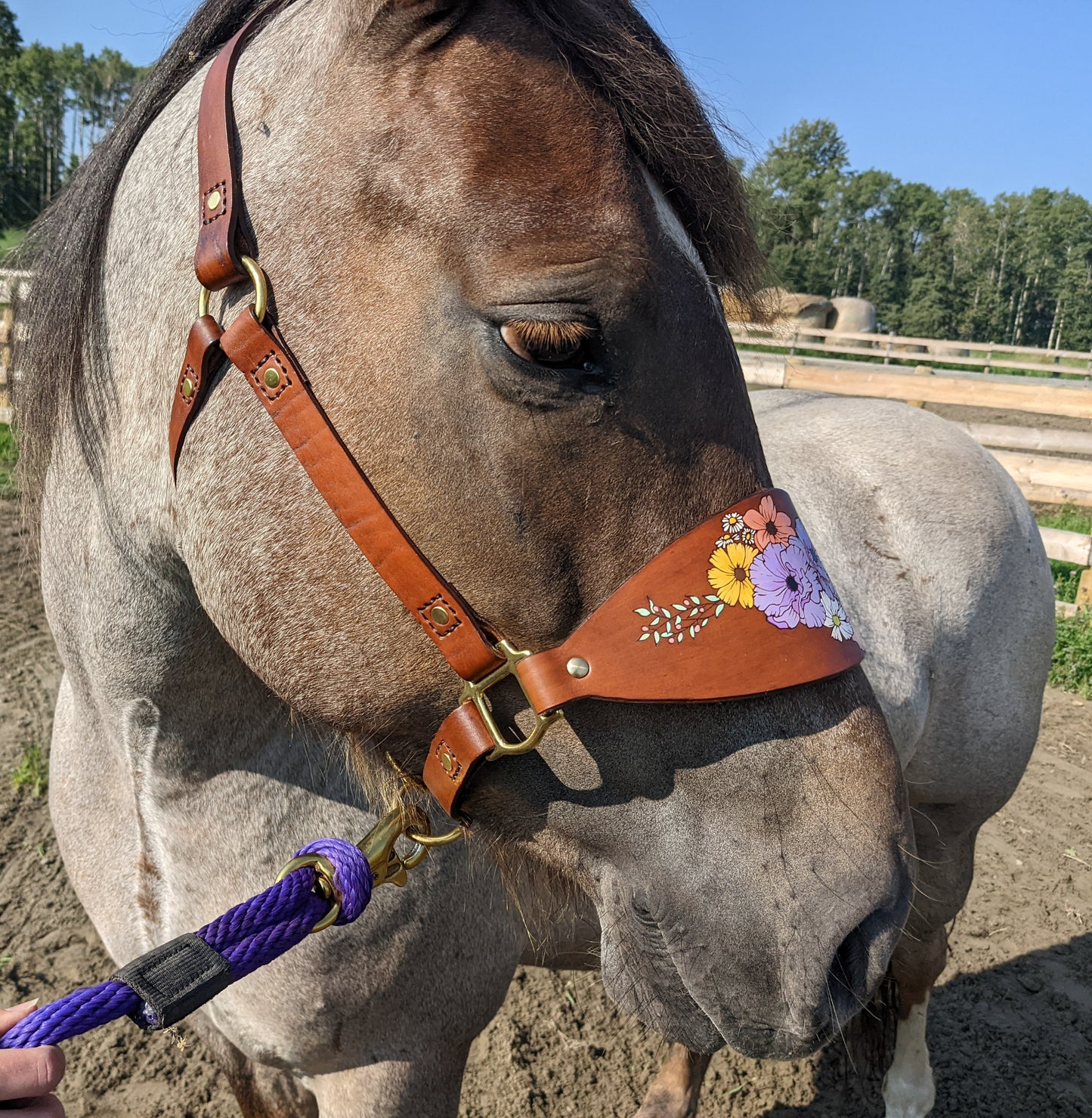 Floral Leather Horse Halter- Custom Halter - Handmade Bronc Halter