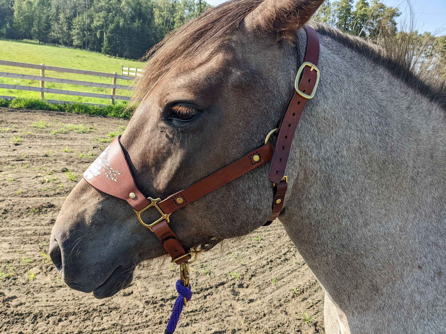 Floral Leather Horse Halter- Custom Halter - Handmade Bronc Halter