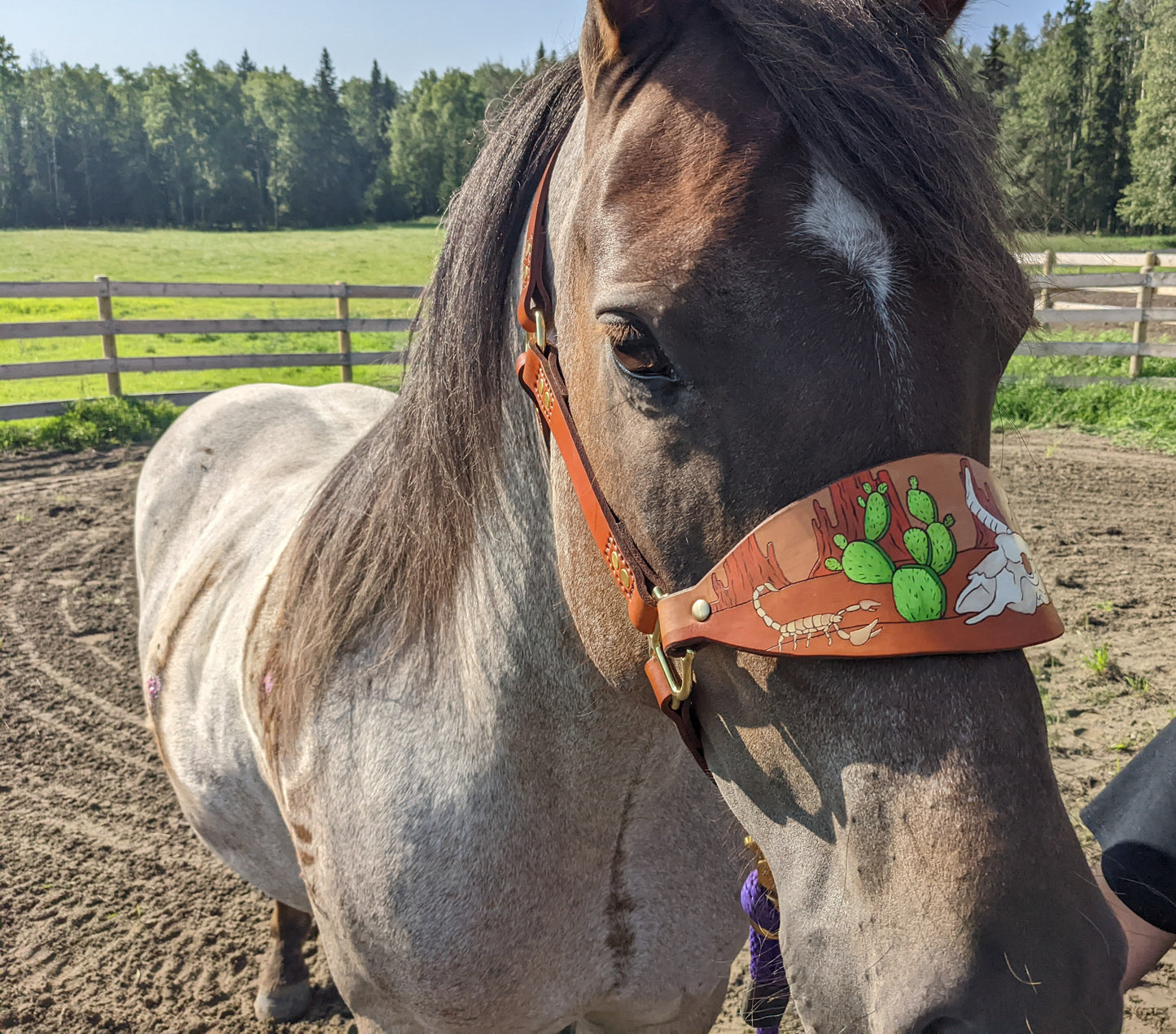 Western Cactus  Leather Horse Halter- Custom Halter - Handmade Bronc Halter