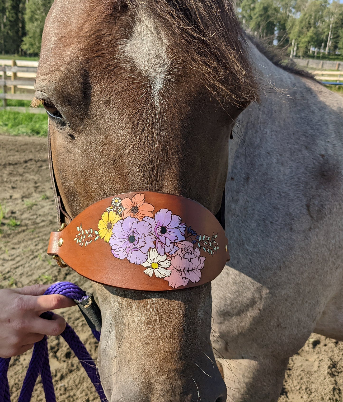 Floral Leather Horse Halter- Custom Halter - Handmade Bronc Halter