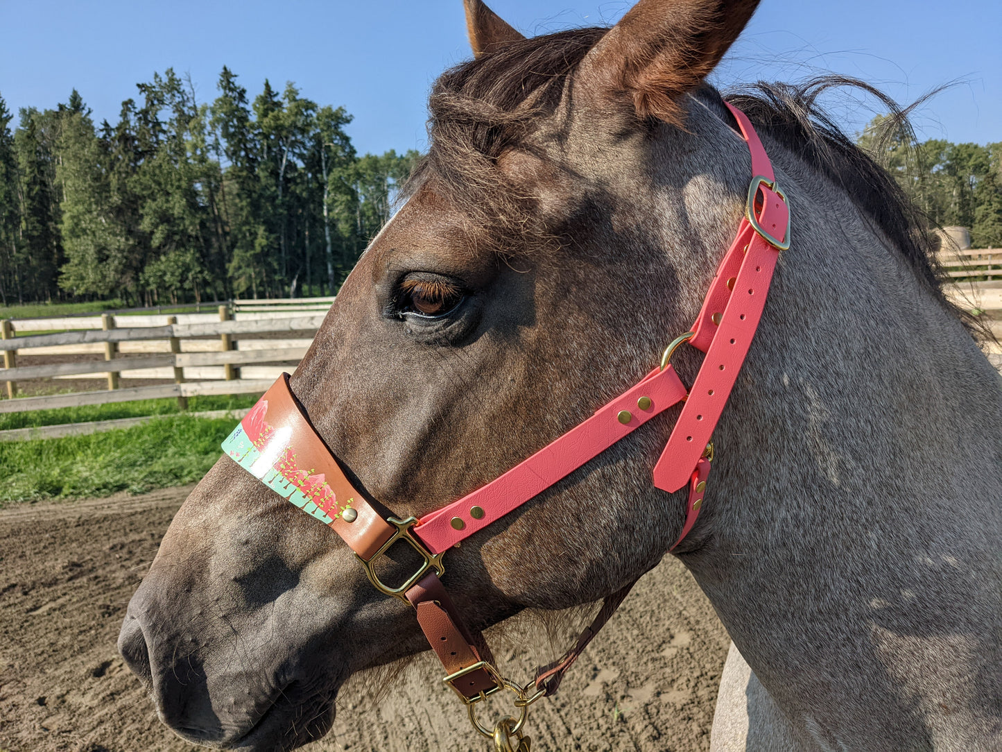 Floral Mountain Biothane Horse Halter with Leather Nose band - Custom Halter - Handmade Bronc Halter