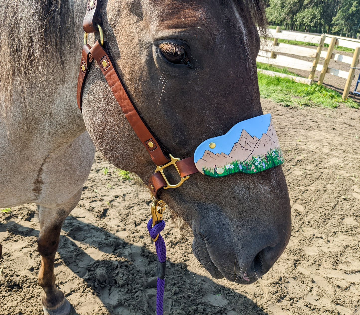 Mountain Wild Flower Leather Horse Halter- Custom Halter - Handmade Bronc Halter