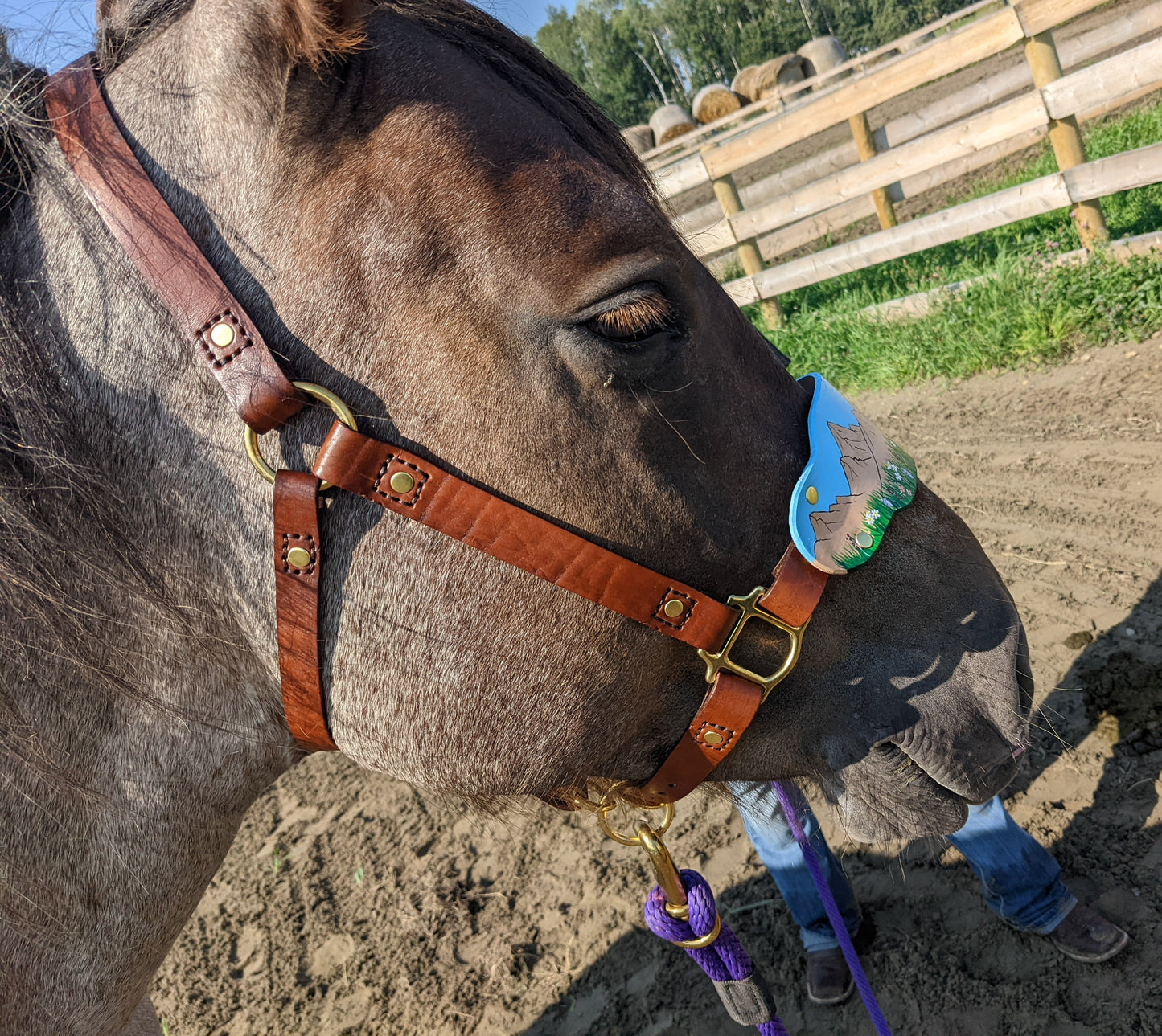 Mountain Wild Flower Leather Horse Halter- Custom Halter - Handmade Bronc Halter