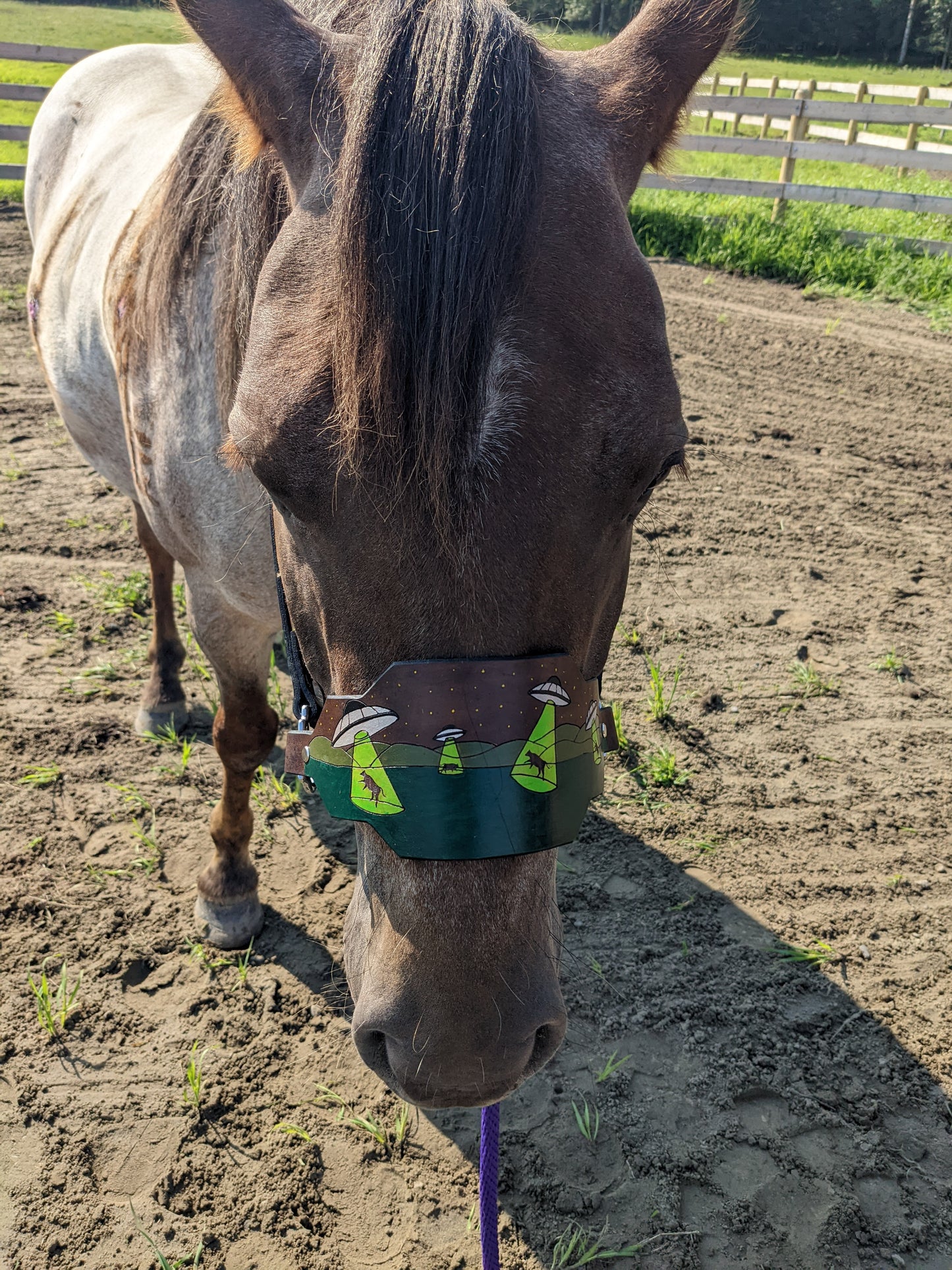 UFO Abduction  Leather Horse Halter- Custom Halter - Handmade Bronc Halter