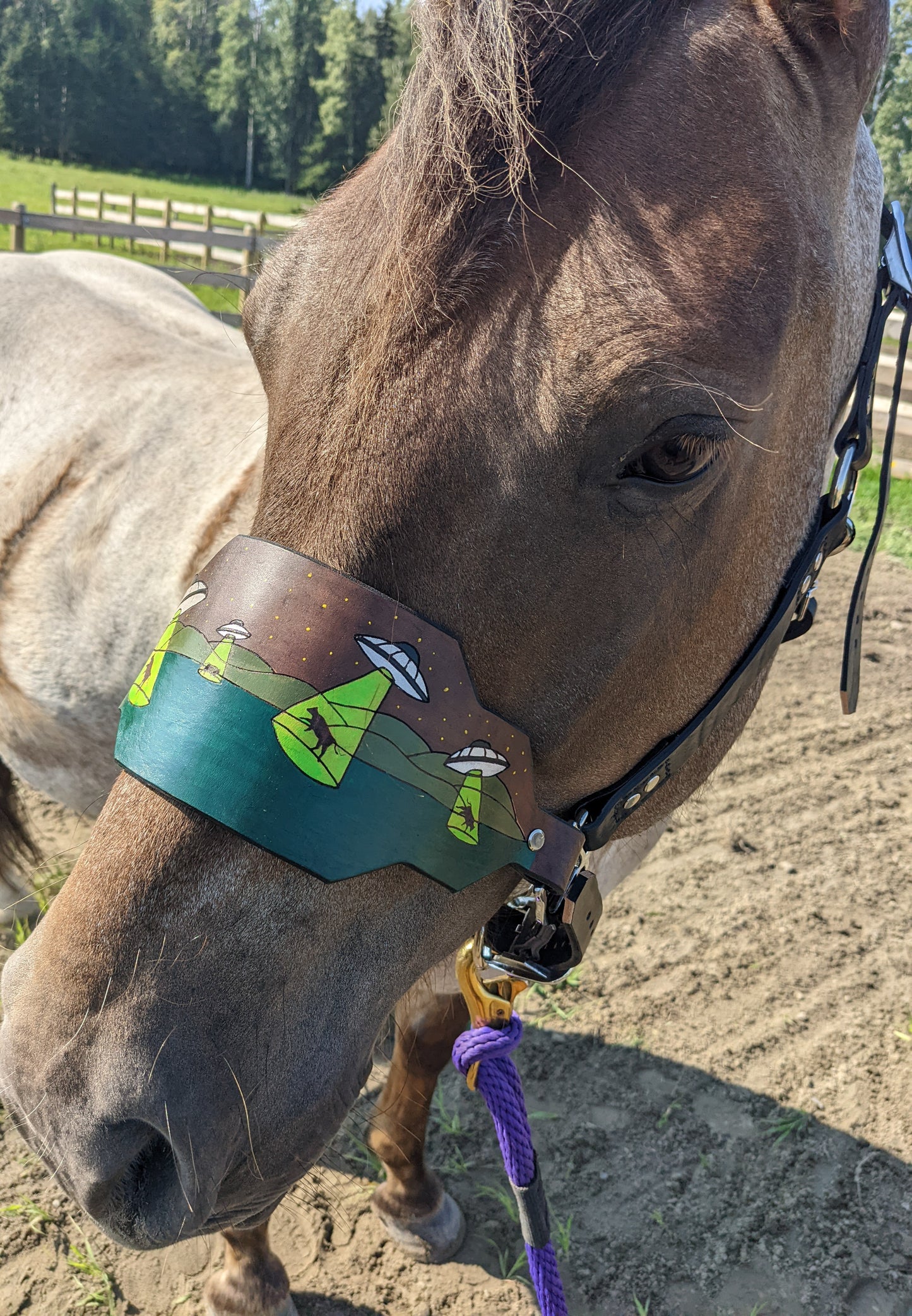 UFO Abduction  Leather Horse Halter- Custom Halter - Handmade Bronc Halter