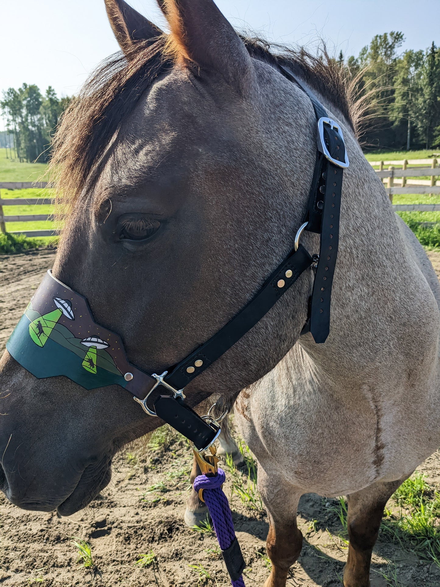 UFO Abduction  Leather Horse Halter- Custom Halter - Handmade Bronc Halter