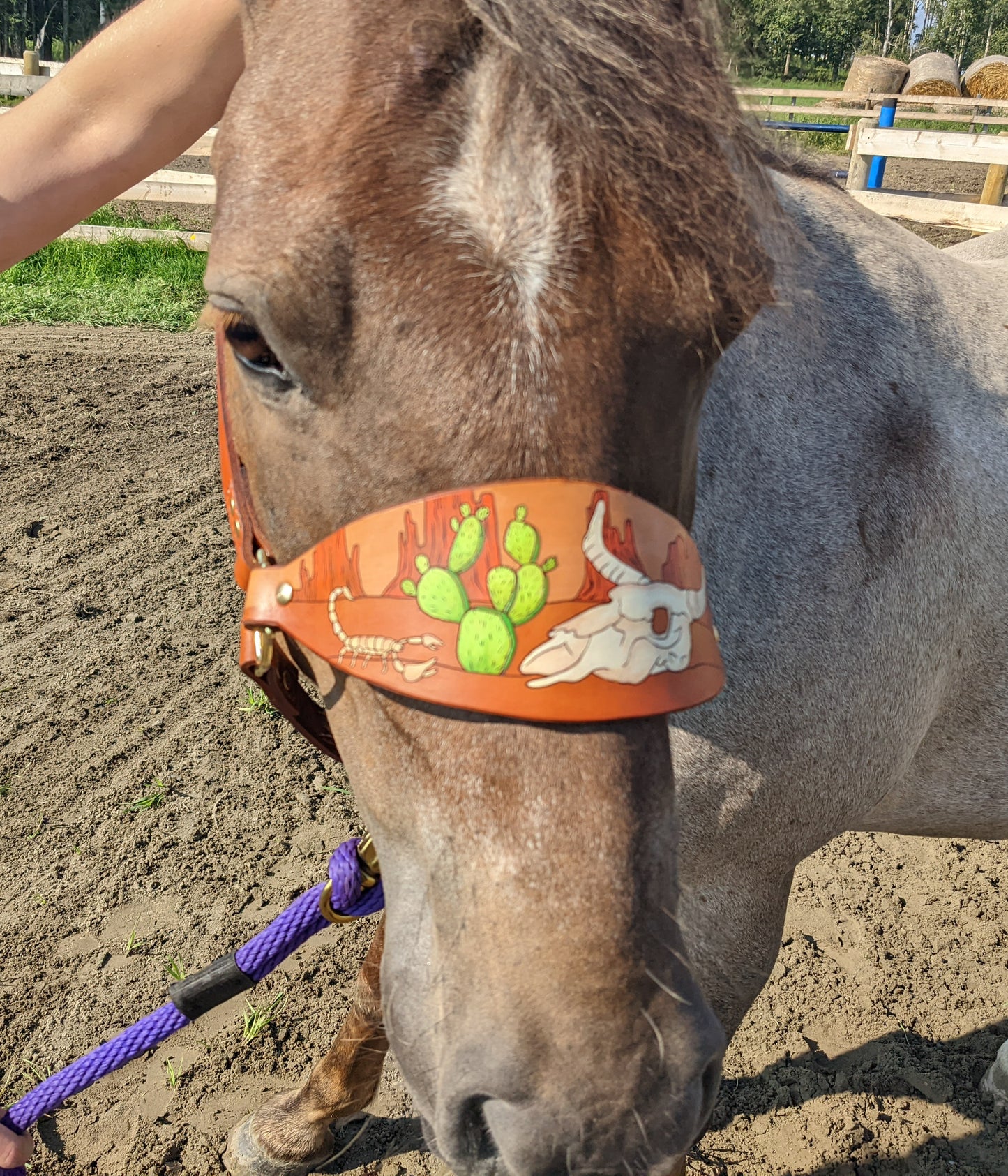 Western Cactus  Leather Horse Halter- Custom Halter - Handmade Bronc Halter