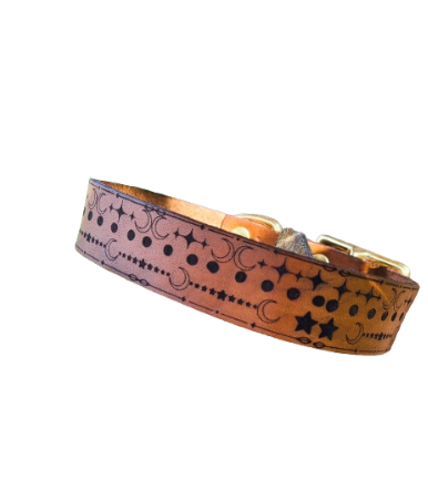 Celestial Vibe- Leather Dog Collar