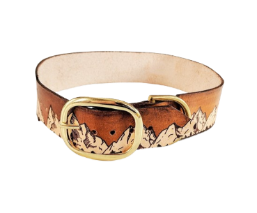 The Rockies - Leather Dog Collar