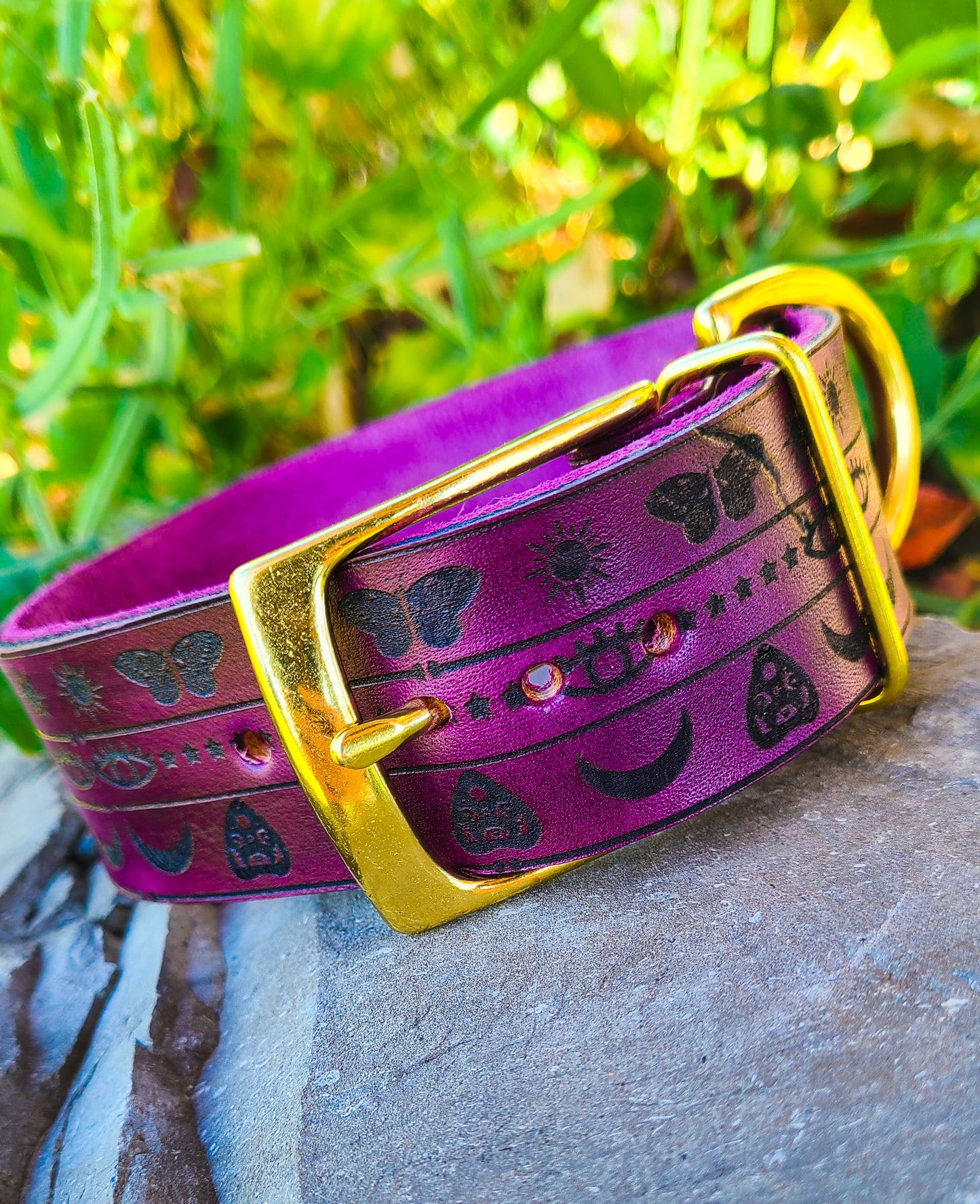 Mystic- Leather Dog Collar
