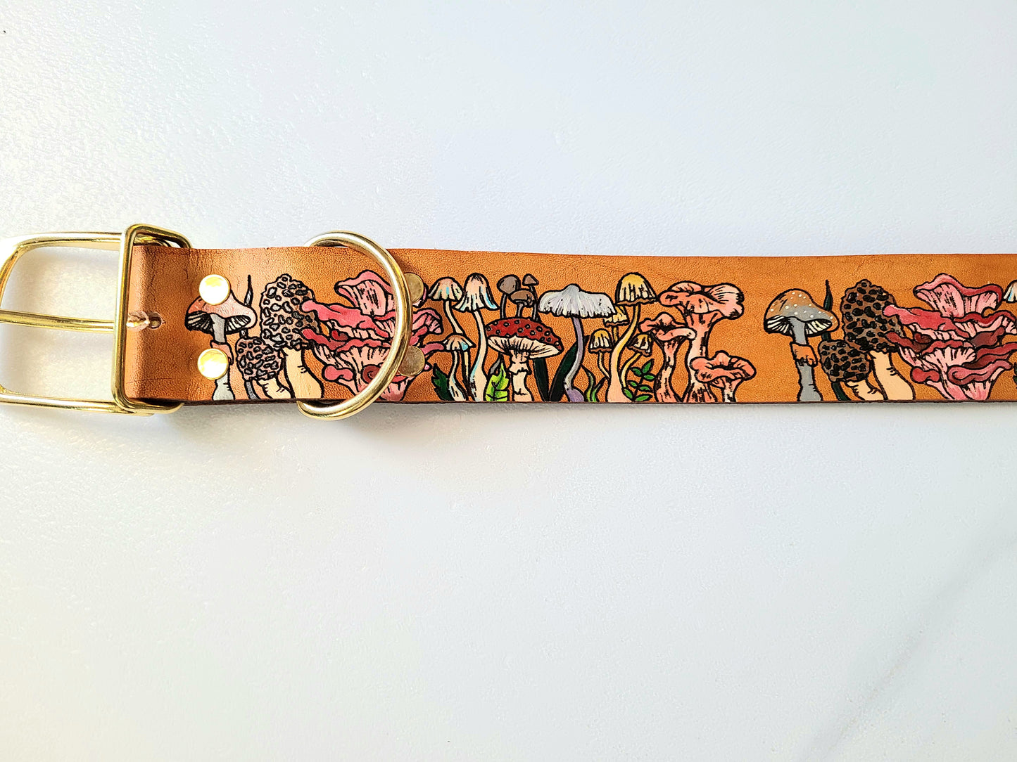 Fungi custom leather Dog Collar