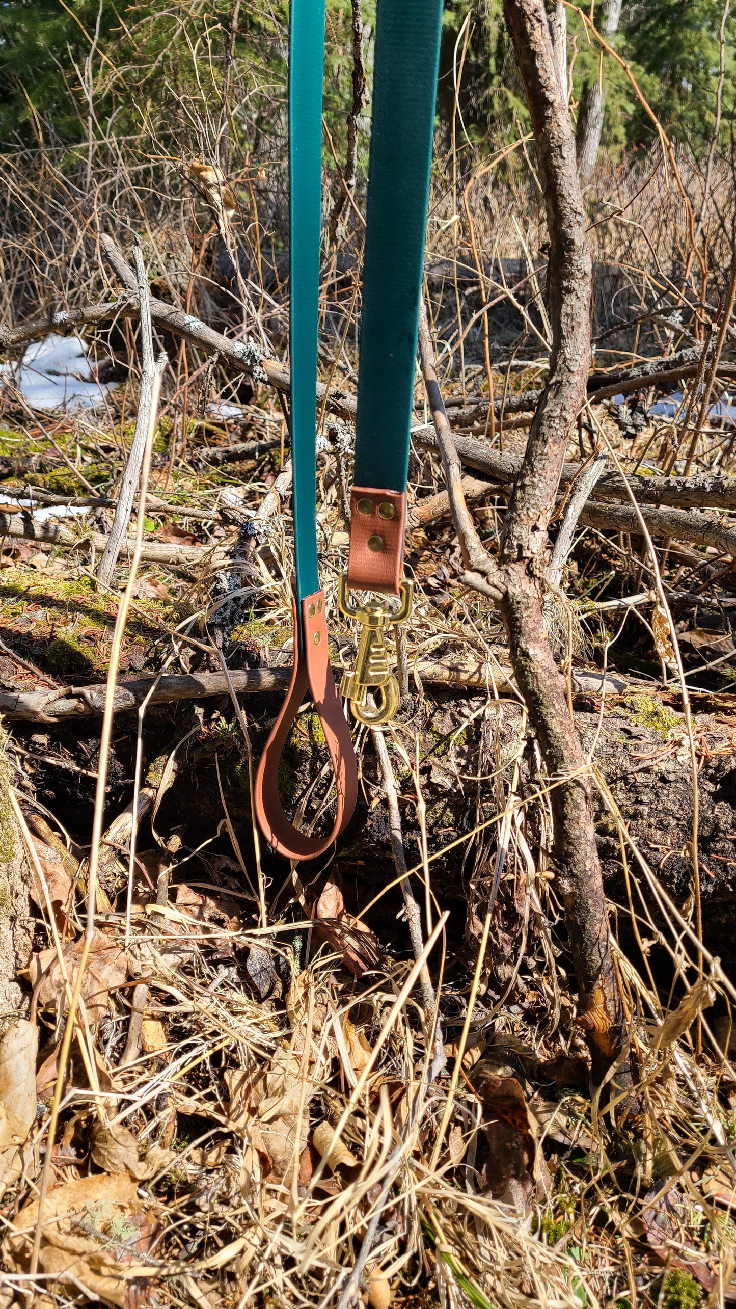 Biothane Leash - Two tone - Waterproof - 1 inch