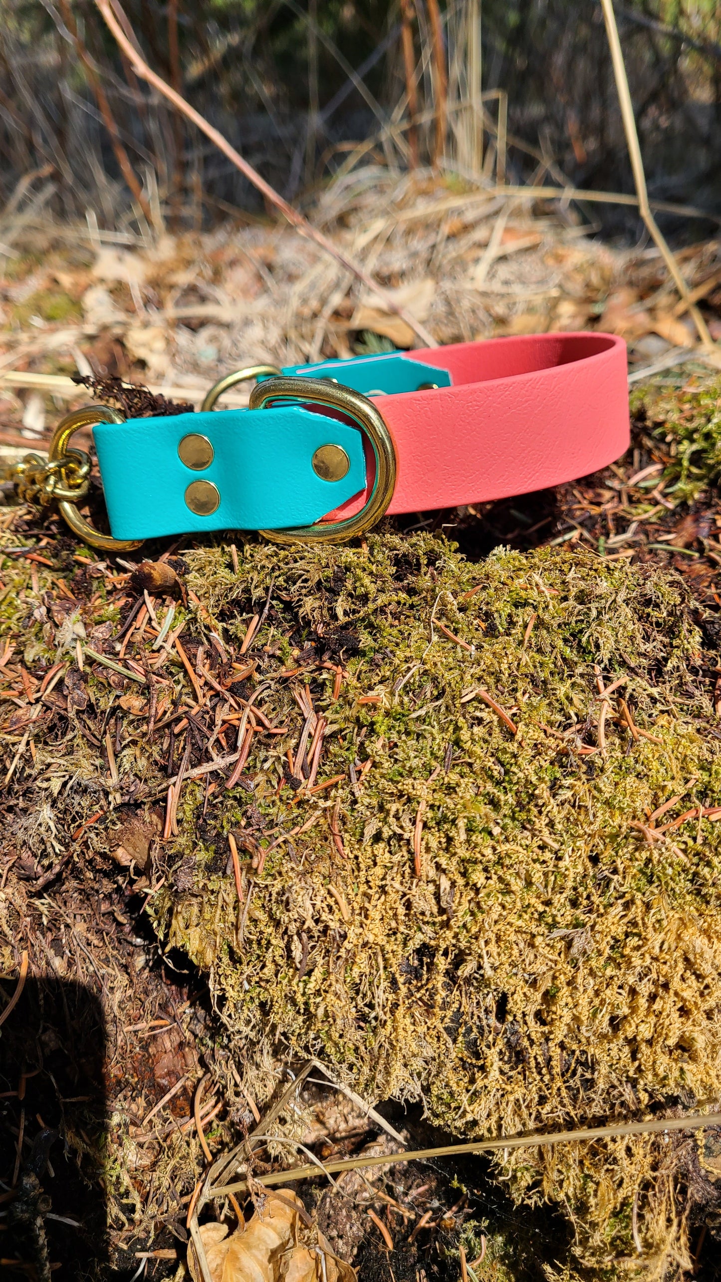 Biothane Martingale Dog Collar - Two Tone - Waterproof - 1 inch