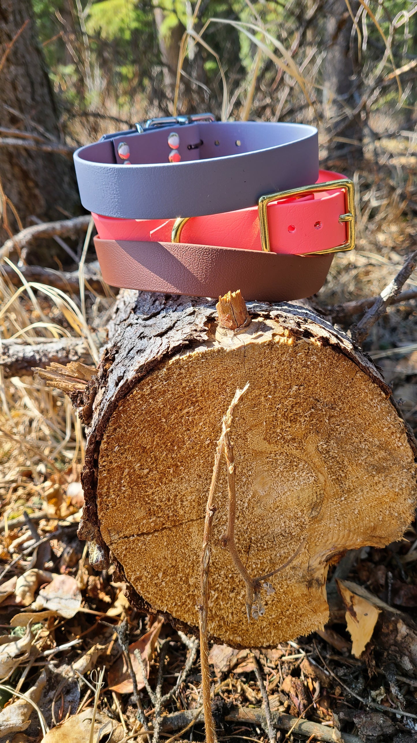 Biothane Dog Collar - Waterproof - 1/2 inch