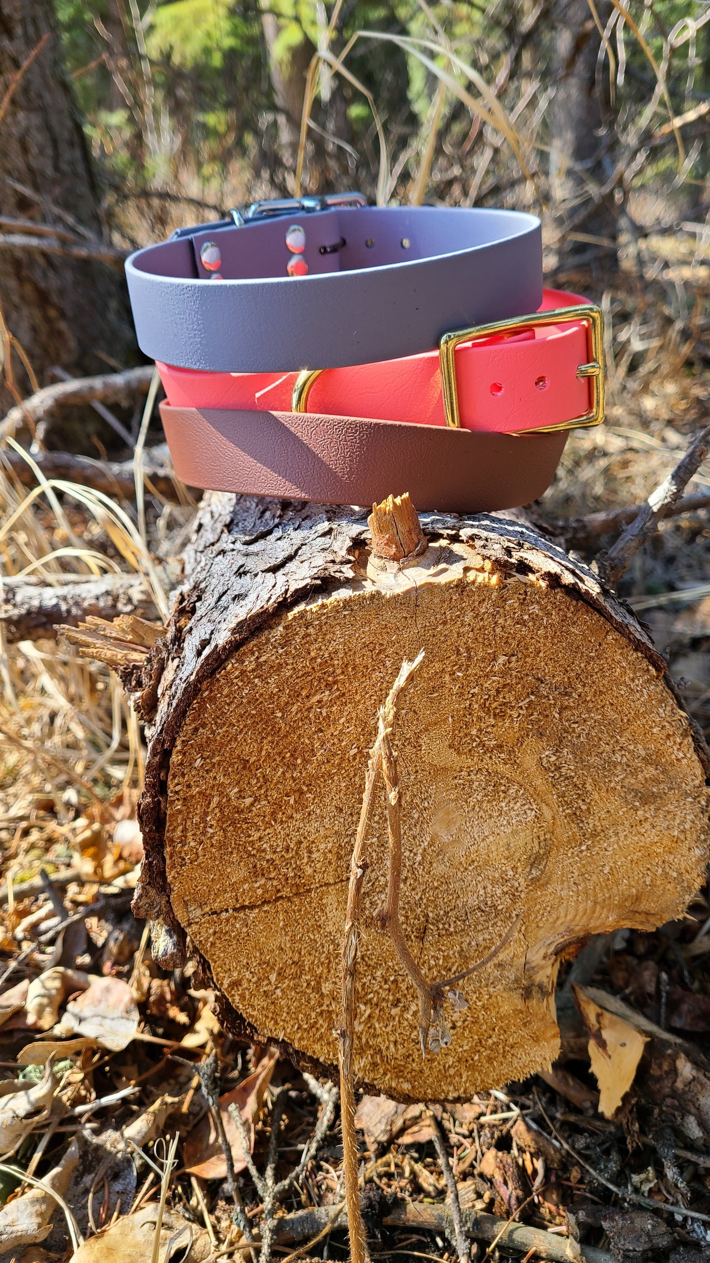 Biothane Dog Collar - Waterproof - 3/4 inch