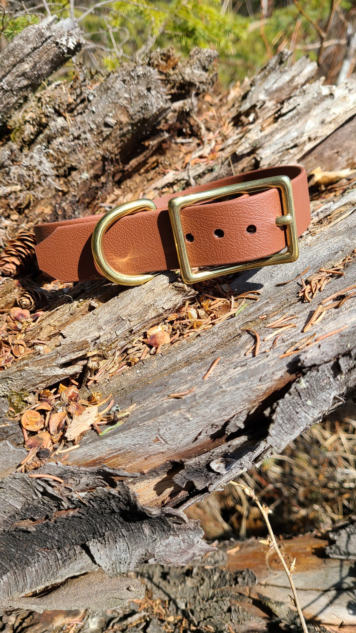Biothane Dog Collar - Waterproof - 1/2 inch
