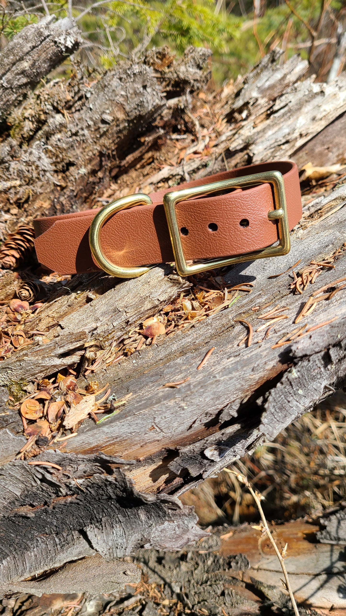 Biothane Dog Collar - Waterproof - 3/4 inch