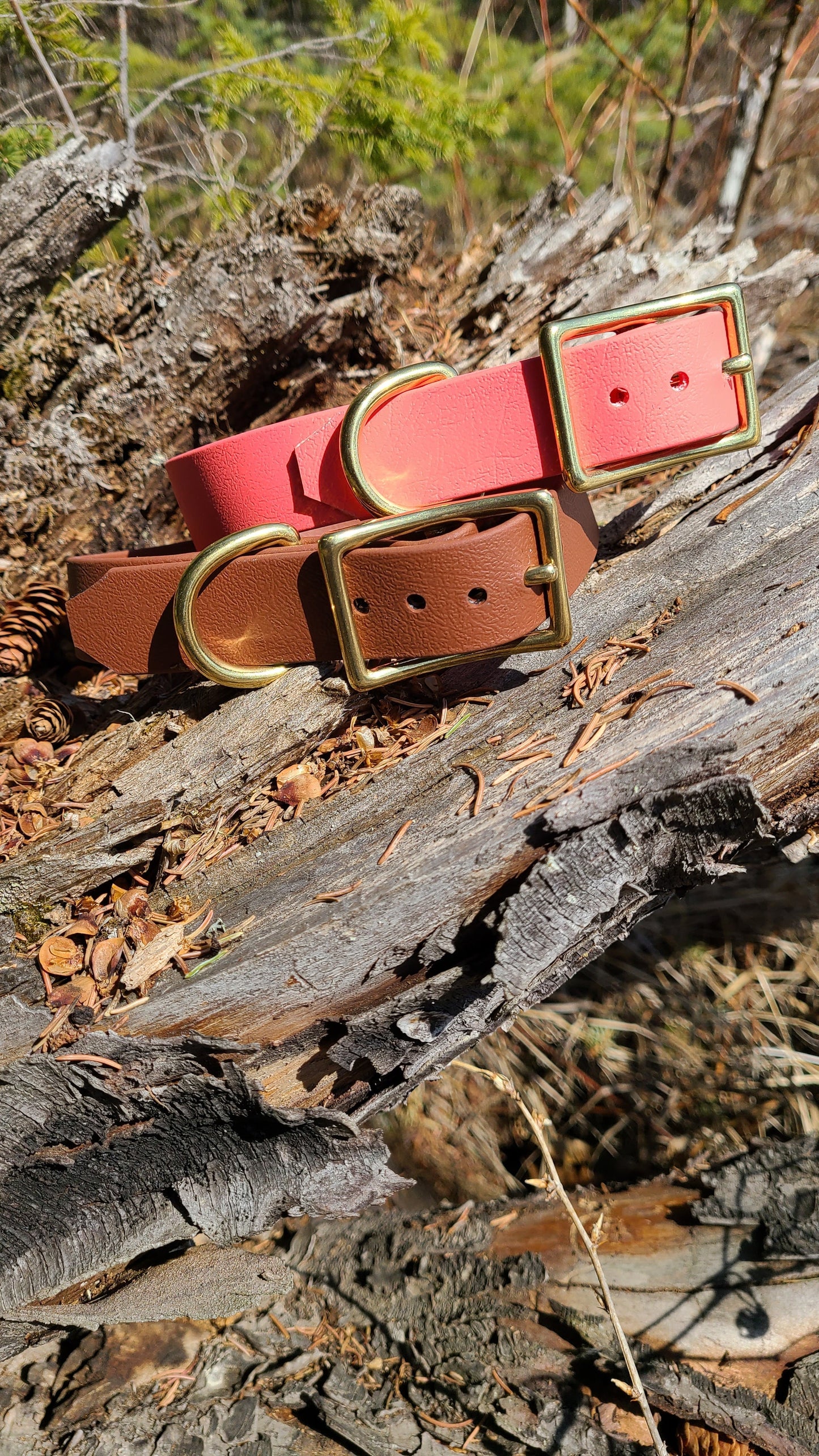 Biothane Dog Collar - Waterproof - 1 inch