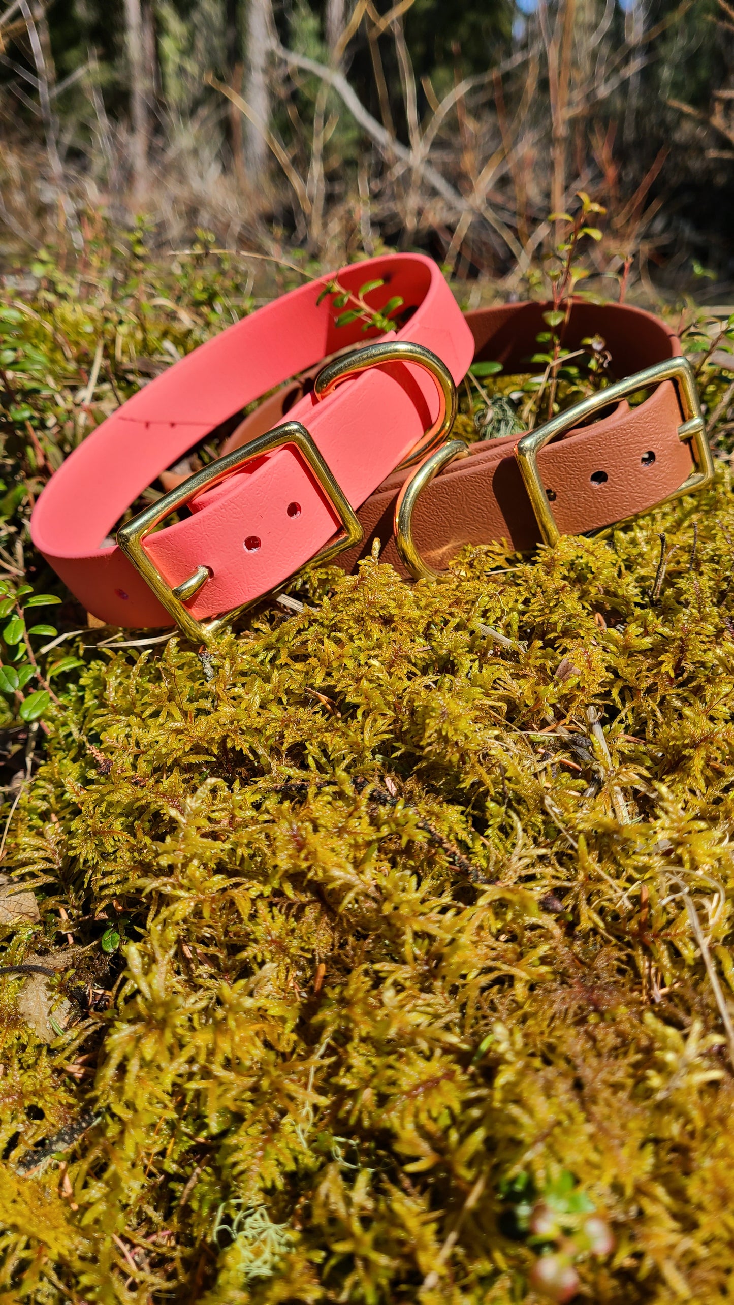 Biothane Dog Collar - Waterproof - 1/2 inch