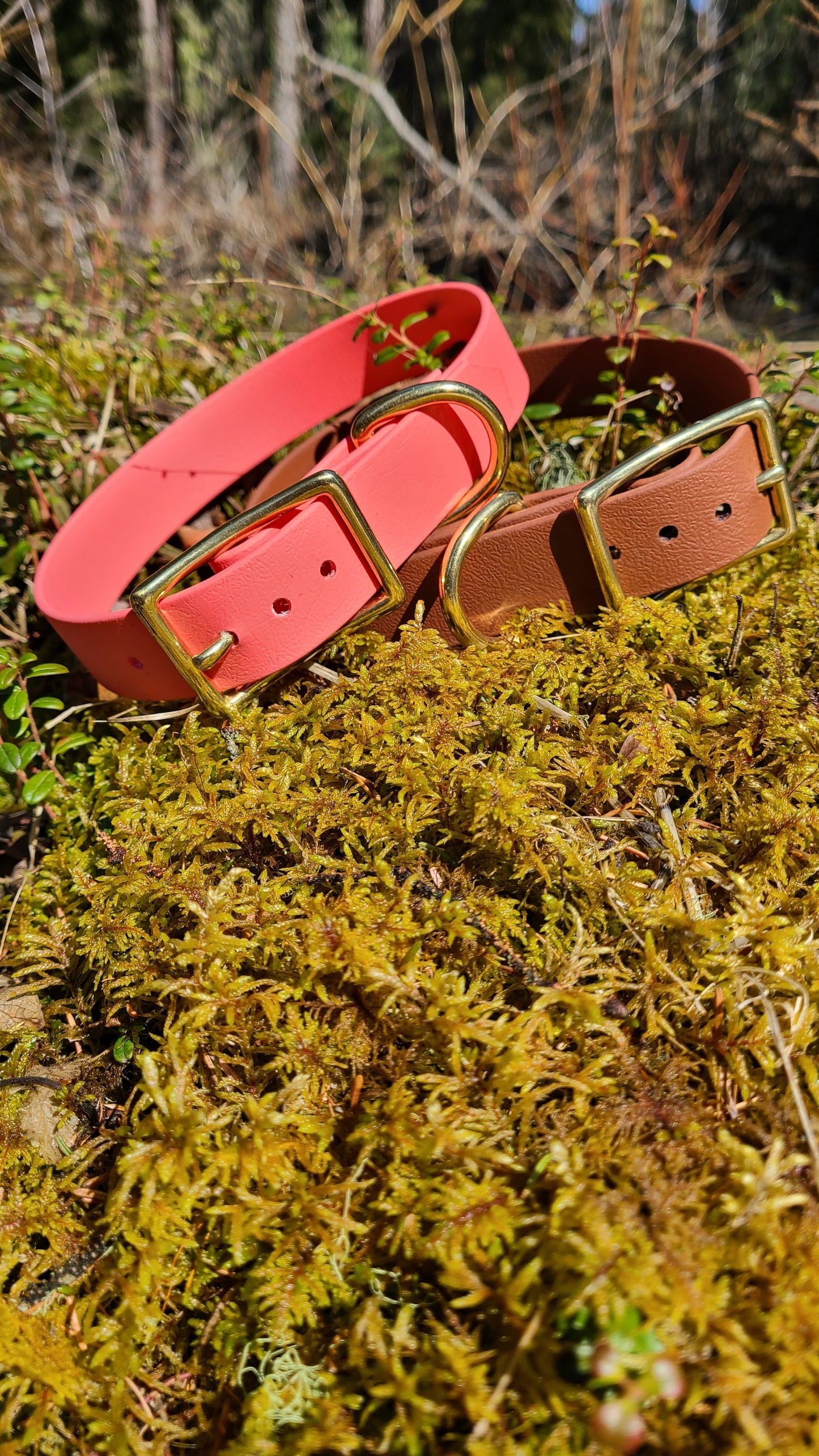 Biothane Dog Collar - Waterproof - 1 inch