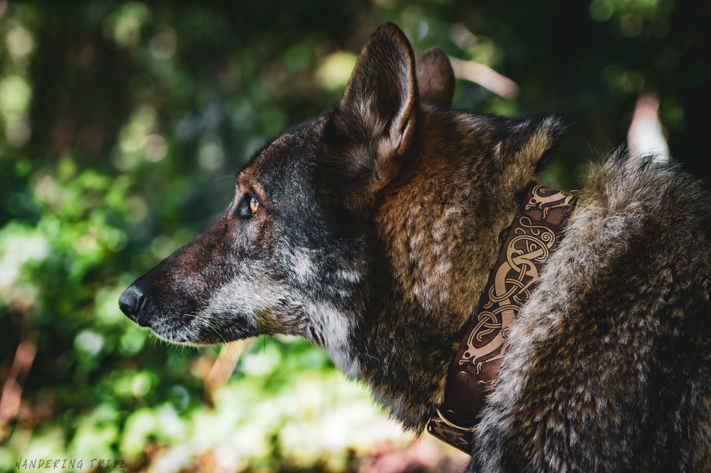 The Fenrir - Leather Dog Collar