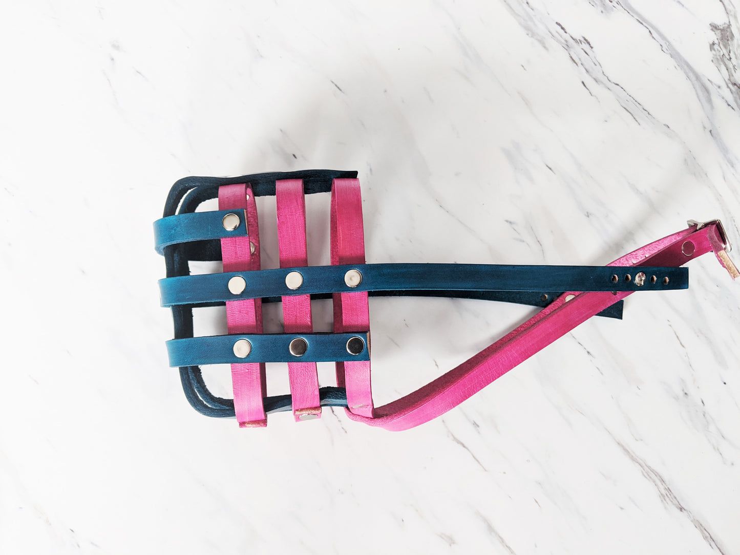 Basket Style Leather Muzzle - Choose Your Colors - Level One