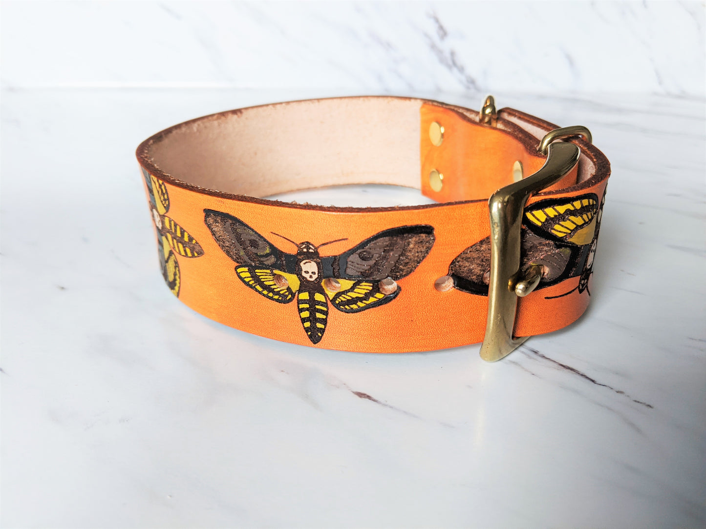 Death Head Eclipse - Leather Dog Collar