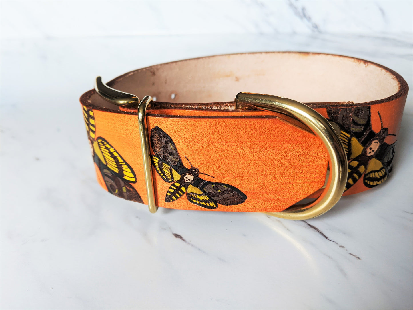 Death Head Eclipse - Leather Dog Collar