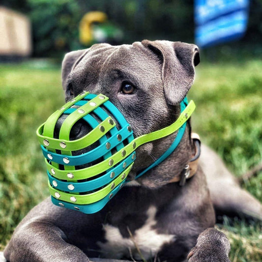 Basket Style Biothane Muzzle - Choose your Colors - Level Three