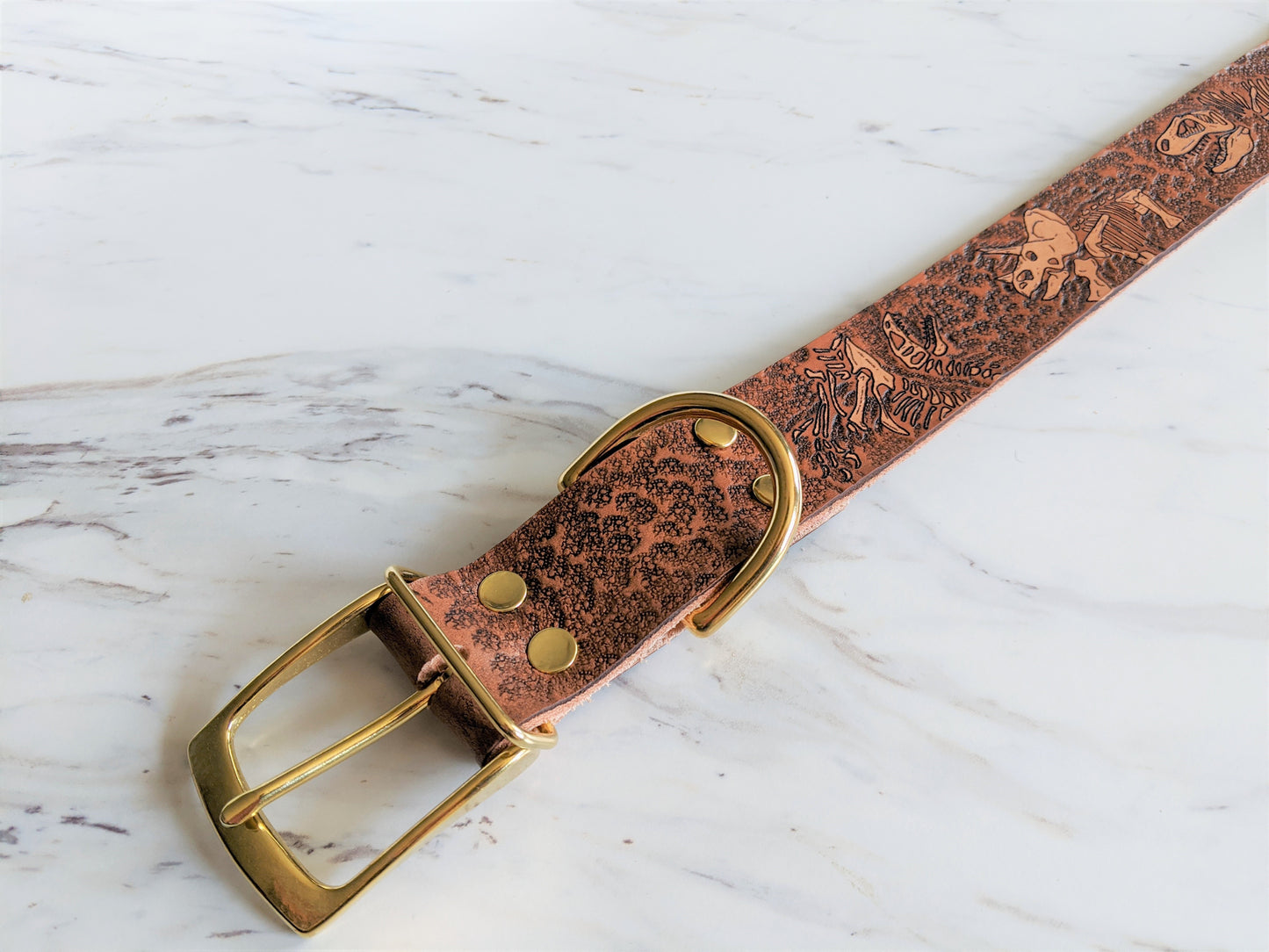 Jurassic Boneyard - Leather Dog Collar