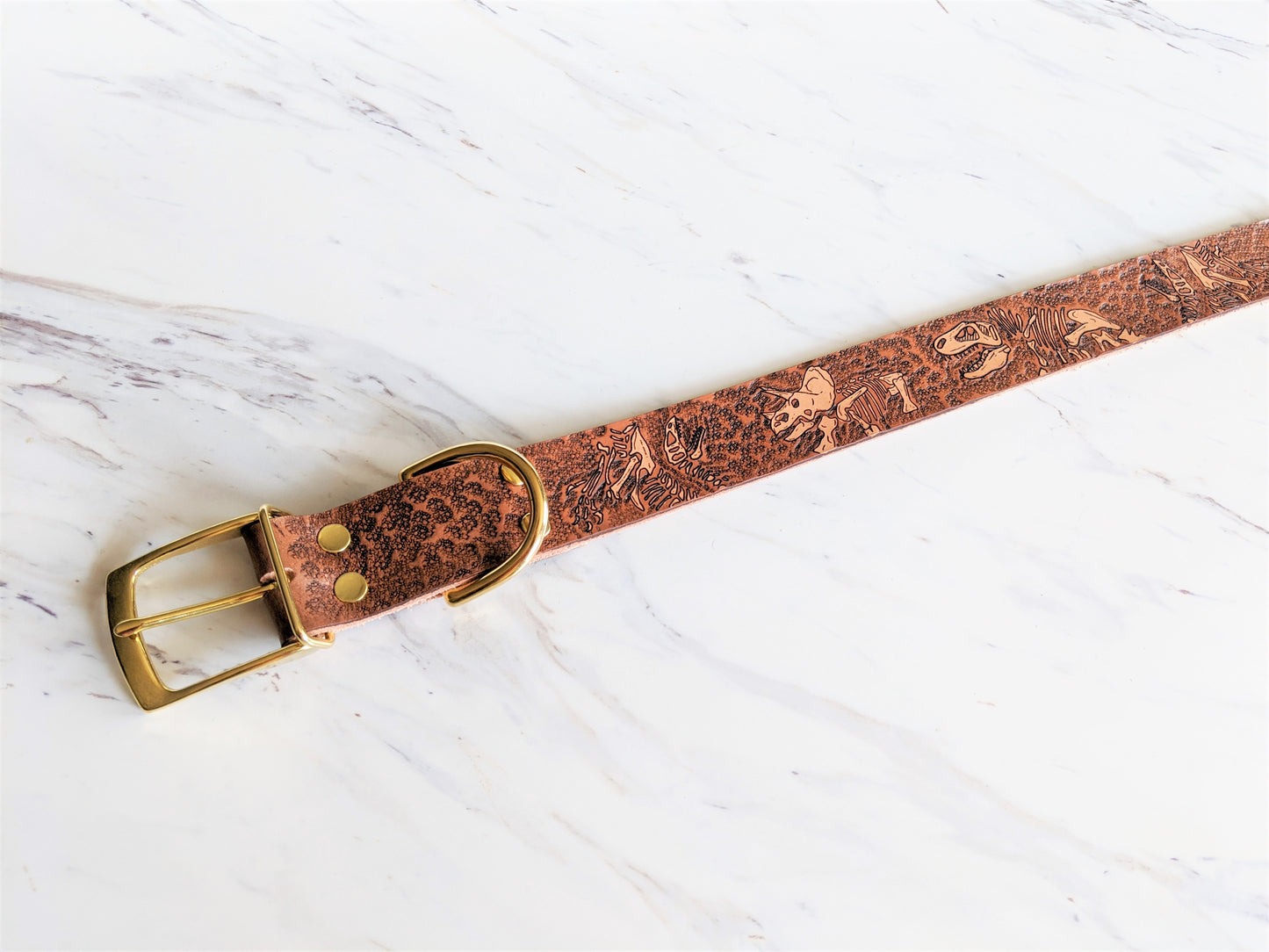 Jurassic Boneyard - Leather Dog Collar