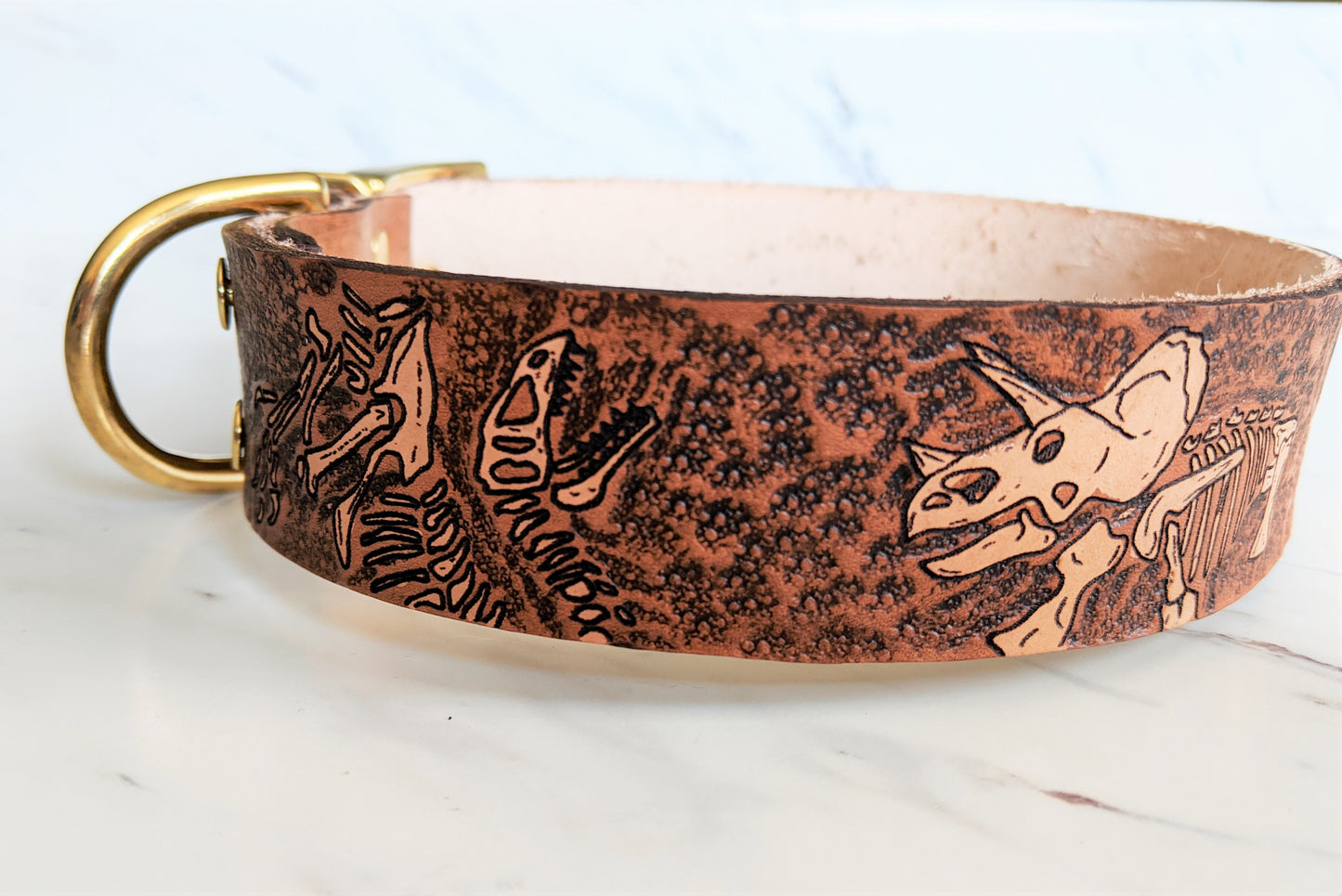 Jurassic Boneyard - Leather Dog Collar