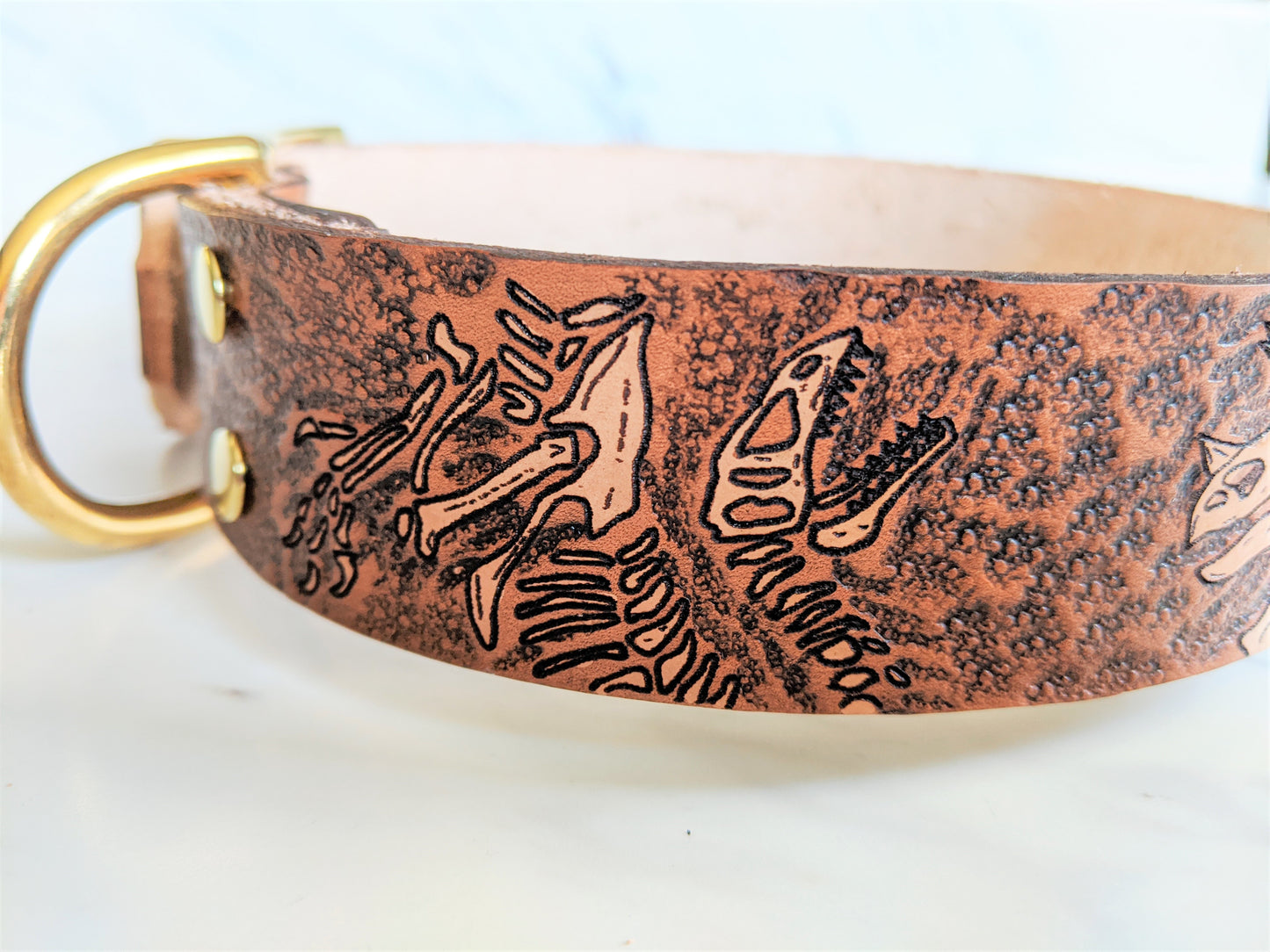 Jurassic Boneyard - Leather Dog Collar
