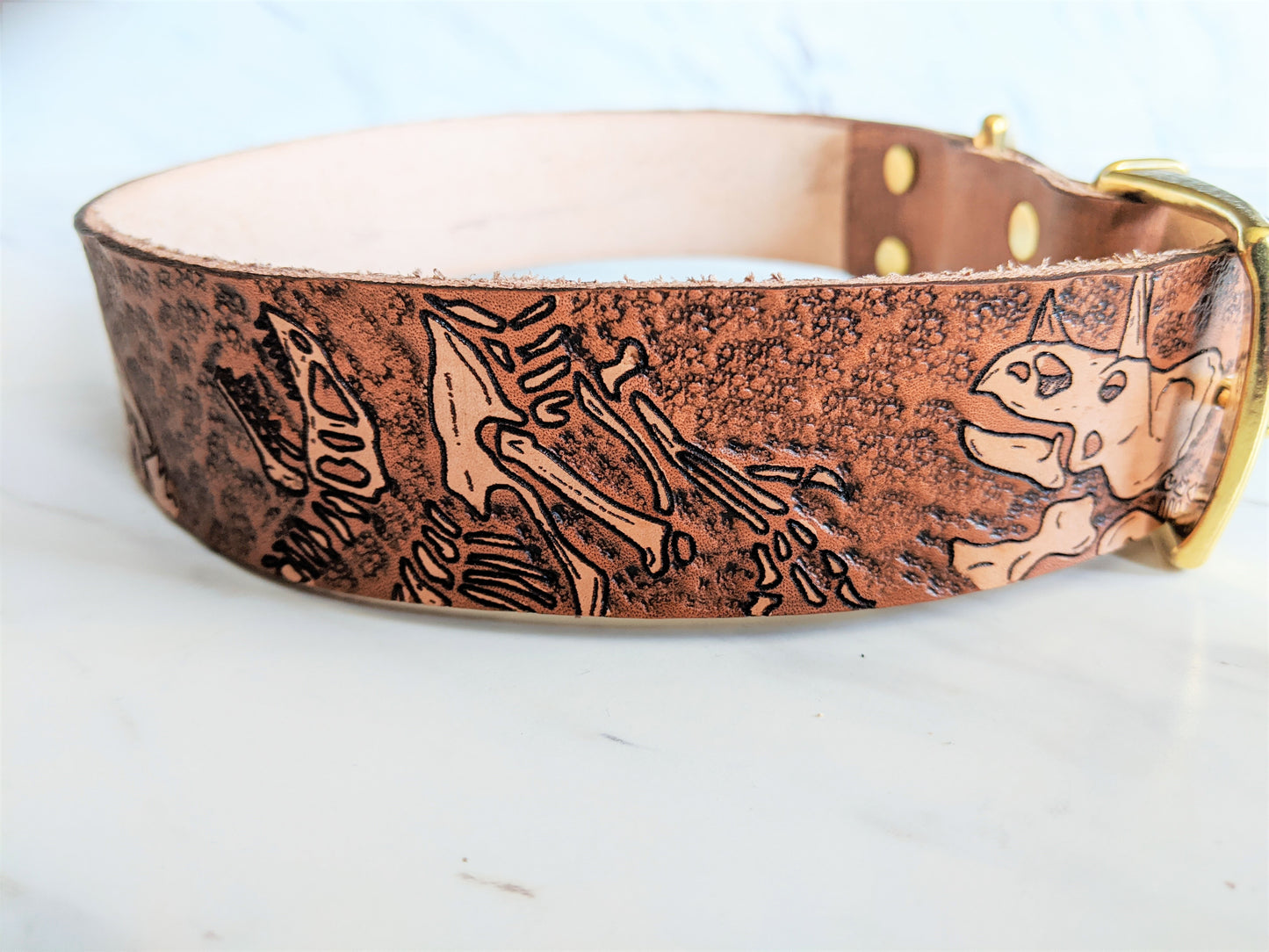 Jurassic Boneyard - Leather Dog Collar