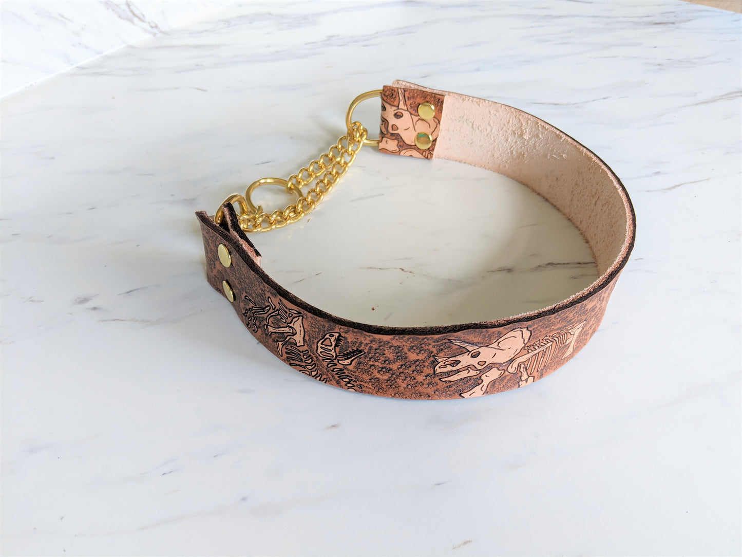Jurassic Boneyard - Leather Martingale Dog Collar