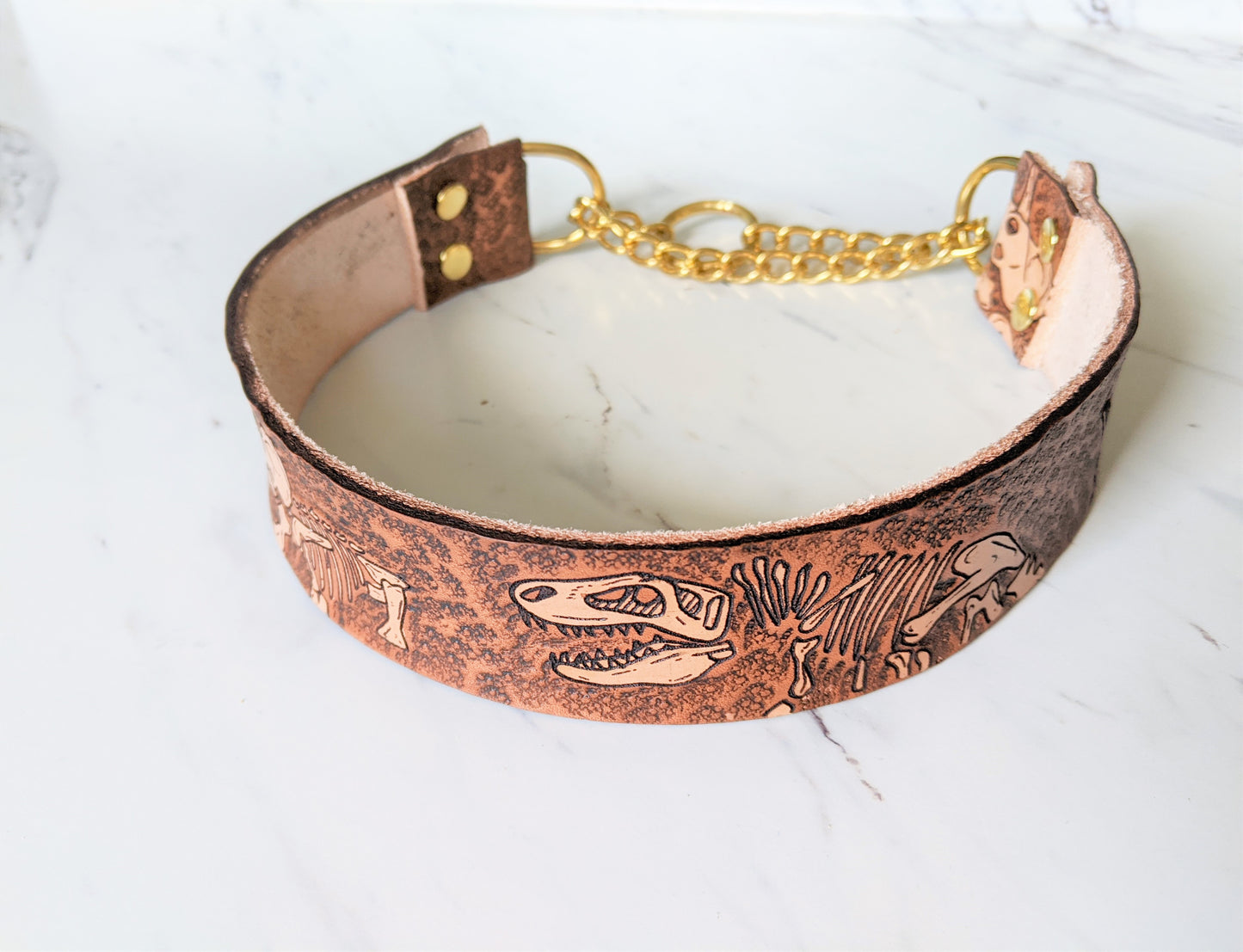 Jurassic Boneyard - Leather Martingale Dog Collar