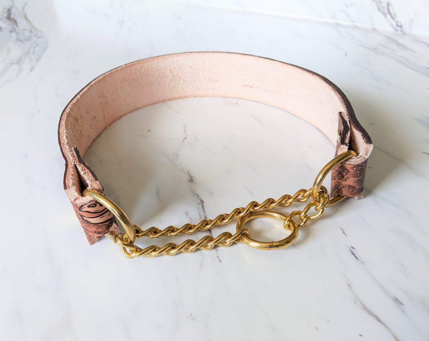 Jurassic Boneyard - Leather Martingale Dog Collar