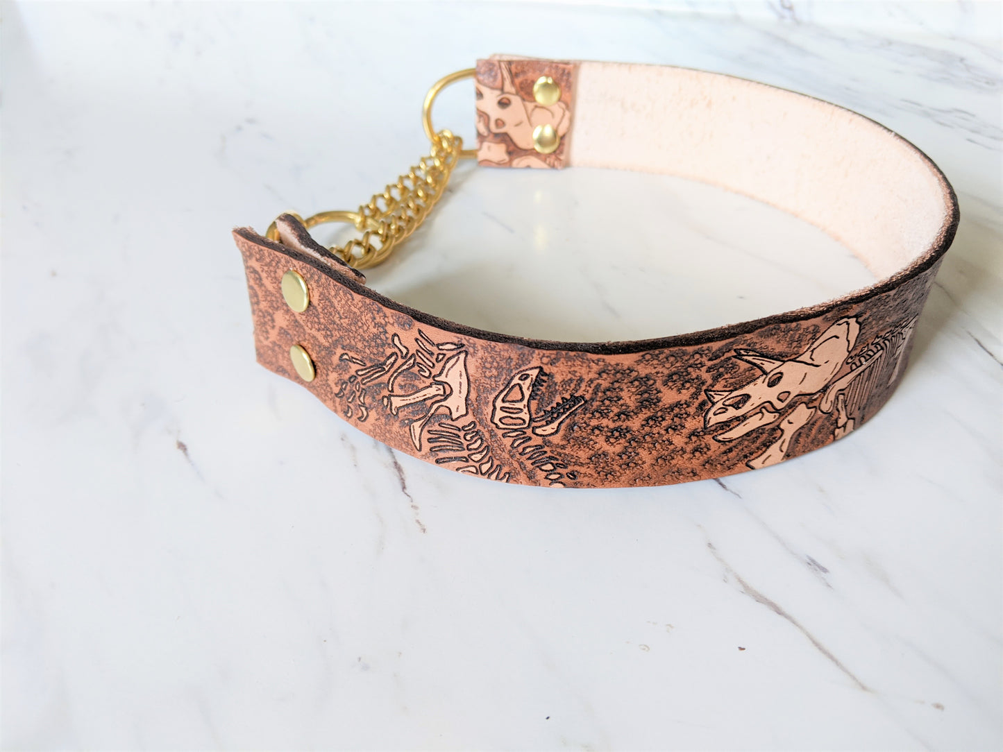 Jurassic Boneyard - Leather Martingale Dog Collar