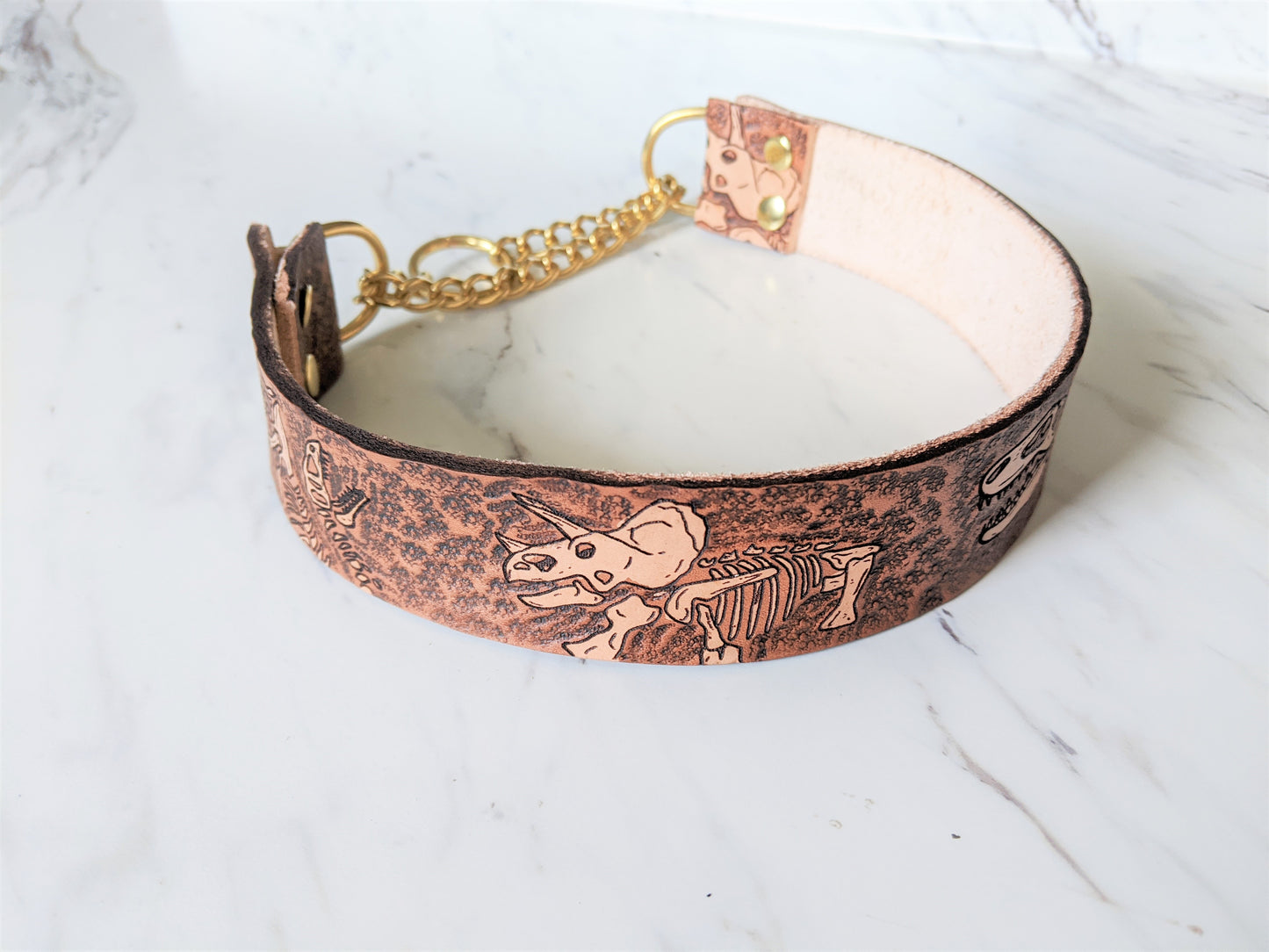 Jurassic Boneyard - Leather Martingale Dog Collar