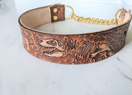 Jurassic Boneyard - Leather Martingale Dog Collar