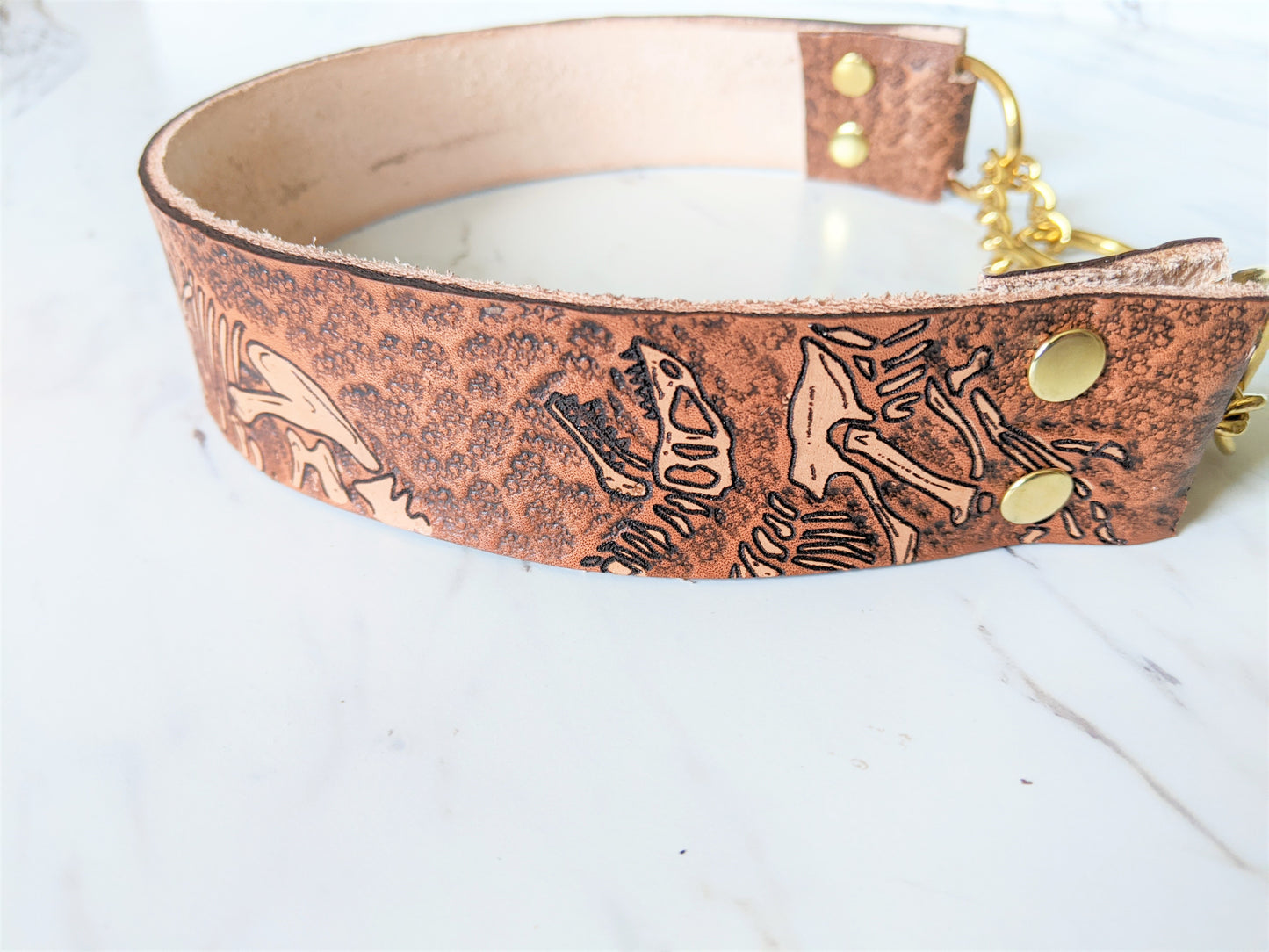 Jurassic Boneyard - Leather Martingale Dog Collar