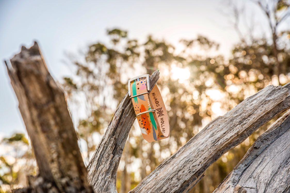 Abstract - Leather Dog Collar