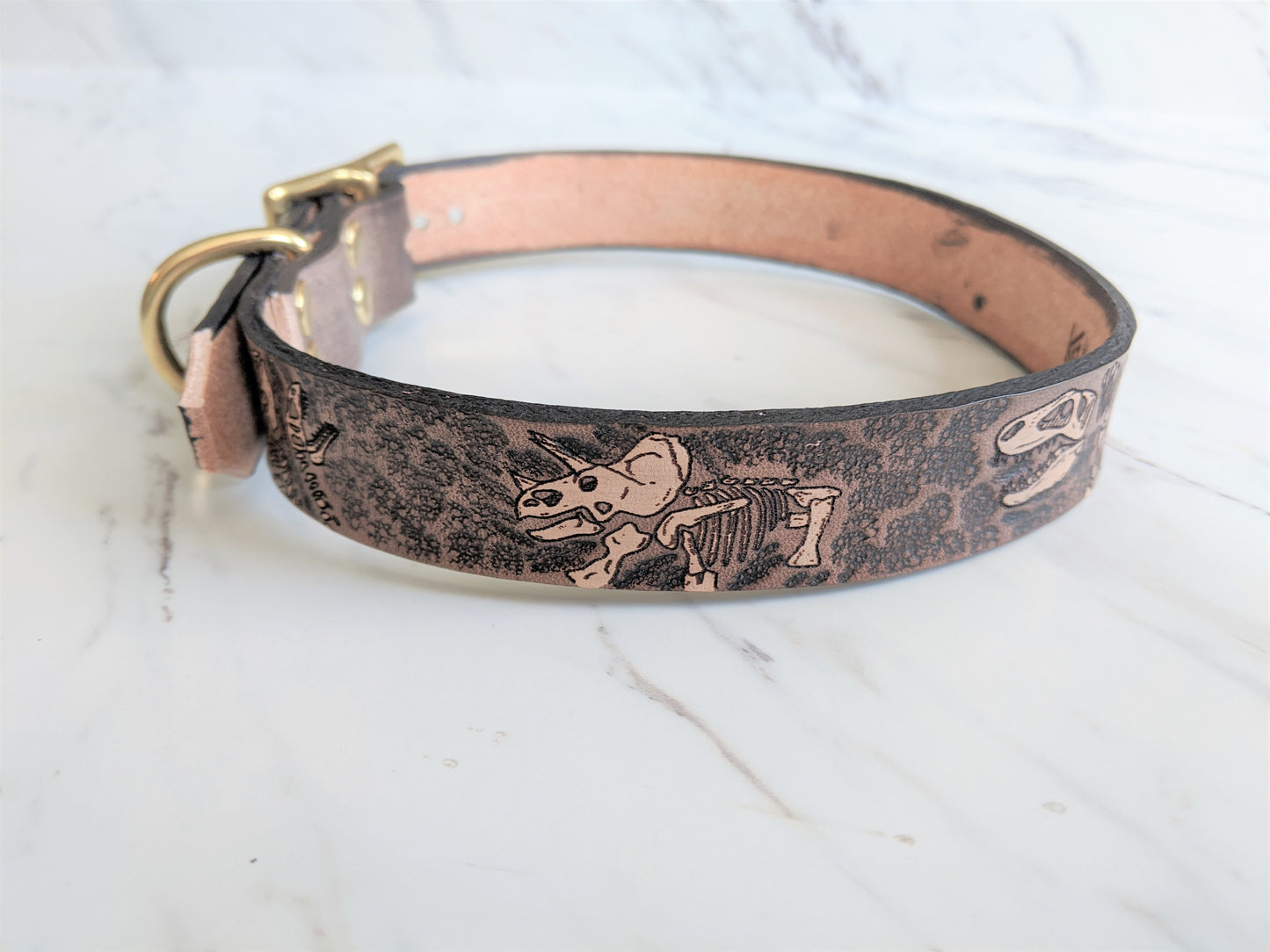 Jurassic Boneyard - Leather Dog Collar